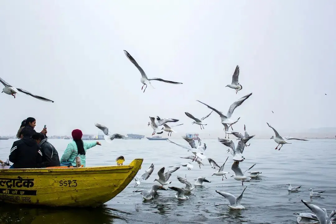 印度悖論:3500萬“潤”向全球,卻對世界關上門